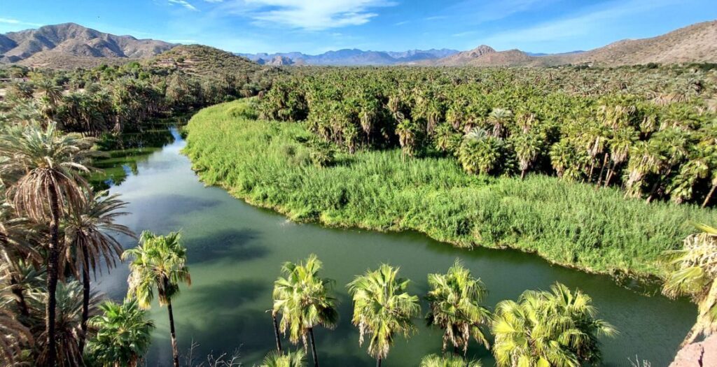 Baja California_mulegé